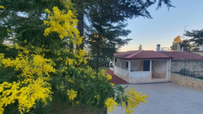 MERCADANTE - Luxury Holiday House Cassano Delle Murge
